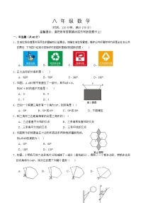 福建省龙岩市漳平市2024-2025学年八年级上学期期中考试数学试卷(含答案)