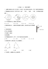 广东省江门市六校联考2024-2025学年八年级上学期期中考试数学试卷(含答案)