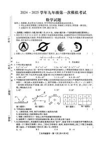 2025年广东深圳21校九年级联考一模数学试卷（含答案）