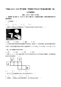 山西省晋中市平遥县2024-2025学年七年级上学期11月期中考试数学试卷(含答案)