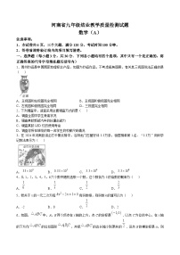 河南省信阳市平桥区十二校联考2025届九年级上学期12月月考数学试卷(含答案)
