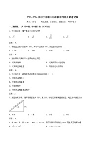 湖北省黄石市阳新县部分学校2023-2024学年八年级下学期4月月考数学试卷(含答案)