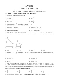 安徽省巢湖市2024-2025学年九年级上学期期末考试数学试卷（原卷版+解析版）