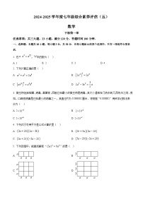 河南省周口市2024-2025学年七年级下学期数学月考试卷 （原卷版+解析版）