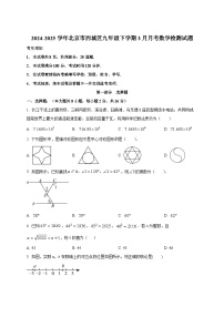 2024-2025学年北京市西城区九年级下册3月月考数学检测试题（附答案）