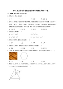 2025届云南省中考数学适应性考试模拟试卷（一模）附答案
