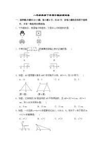 北师大版八年级数学下册期中模拟测试卷（含答案）