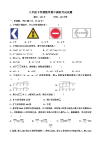 北师大版八年级下学期数学期中模拟考试试题（含答案）