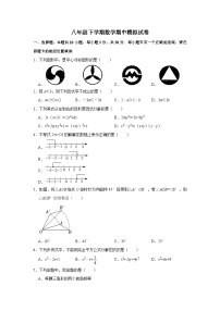 北师大版八年级下学期数学期中模拟试卷（含答案）