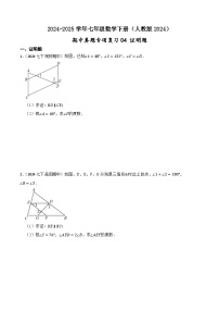 2024-2025学年人教版七年级数学下册期中专项复习04 证明题卷（含解析）