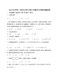 2024-2025学年广东省中山市九年级下册3月月考数学检测试卷（附答案）