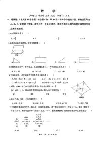 重庆鲁能巴蜀中学校2024-2025学年九年级下学期期中考试数学试题（含答案）