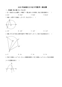 2025年盐城市大丰区中考数学一模试题（含解析）