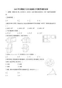 2025年安徽省六安市金寨县中考数学调研试卷（含答案）