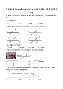 河北省石家庄市18县2024-2025学年九年级下学期3月月考考试数学试题（含解析）