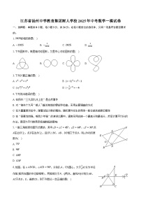 江苏省扬州中学教育集团树人学校2025年中考数学一模试卷（含答案）