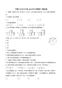 宁夏中卫市中宁县2025年中考数学二模试卷（含解析）