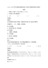 2022-2023学年安徽合肥肥西县七年级下册数学期末试卷及答案