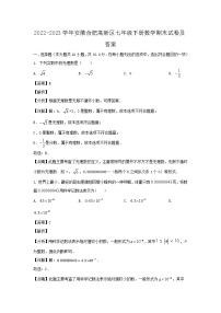 2022-2023学年安徽合肥高新区七年级下册数学期末试卷及答案