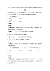 2023-2024学年安徽合肥肥西县七年级下册数学期末试卷及答案