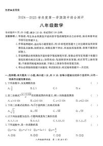 广东省河源市紫金县2024-2025学年八年级上学期11月期中数学试题