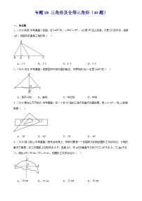 2025中考数学真题汇编专题18 三角形及全等三角形（40题）（原卷版）