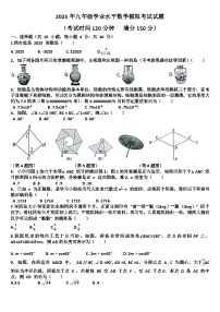 2025年九年级下学期数学模拟考试试题以及答案(适用北师大版)