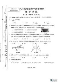 2025年济南市市中区初三数学一模试题及其答案