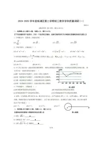 2025年上海市杨浦区初三数学中考二模试卷及其答案
