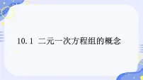 人教版（2024）七年级下册（2024）二元一次方程组的概念教案配套课件ppt