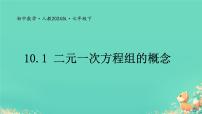 人教版（2024）七年级下册（2024）二元一次方程组的概念教课内容课件ppt