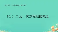 人教版（2024）七年级下册（2024）二元一次方程组的概念教课内容课件ppt