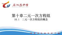 初中人教版（2024）二元一次方程组的概念说课ppt课件