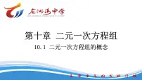 初中数学人教版（2024）七年级下册（2024）二元一次方程组的概念示范课ppt课件