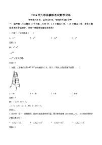 河北省唐山市2024届九年级下学期中考二模数学试卷(含解析)