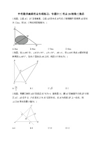 中考数学高频考点专项练习：专题13 考点28 特殊三角形 (1)及答案