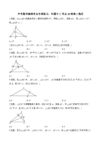 中考数学高频考点专项练习：专题13 考点28 特殊三角形 (3)及答案