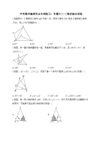 中考数学高频考点专项练习：专题13 三角形综合训练 (1)及答案