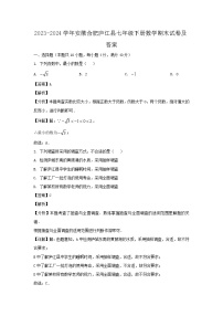2023-2024学年安徽合肥庐江县七年级下册数学期末试卷及答案