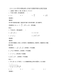 2023-2024学年安徽合肥七年级下册数学期末试卷及答案