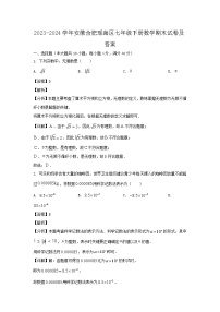 2023-2024学年安徽合肥瑶海区七年级下册数学期末试卷及答案