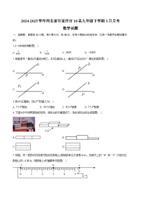2024-2025学年河北省石家庄市18县九年级下学期3月月考考试数学试卷（含答案）