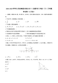2024-2025学年江苏省南通市海安市十三校联考八年级（下）月考数学试卷（3月份）（含答案）