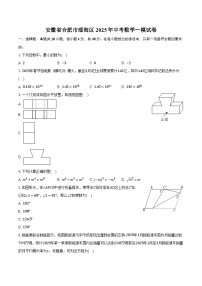安徽省合肥市瑶海区2025年中考数学一模试卷（含解析）