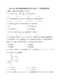 河南省洛阳市洛宁县2023-2024学年八年级下学期期中考试数学试卷(含答案)