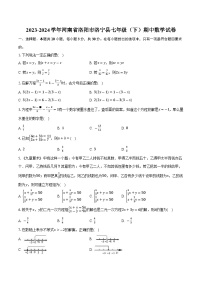 河南省洛阳市洛宁县2023-2024学年七年级下学期期中考试数学试卷(含答案)