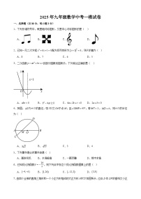 甘肃省武威市凉州区凉州区长城中学、吴家井中学九年级2025届中考一模 数学试题