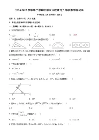 广东省湛江第一中学初中部2025届中考一模 数学试题