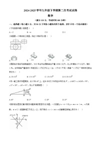 河南省郑州市金水区2025届九年级下学期第二次联考 数学试题试卷