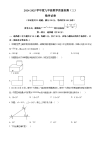 辽宁省抚顺市望花区2025届九年级下学期第三次模拟 数学试题